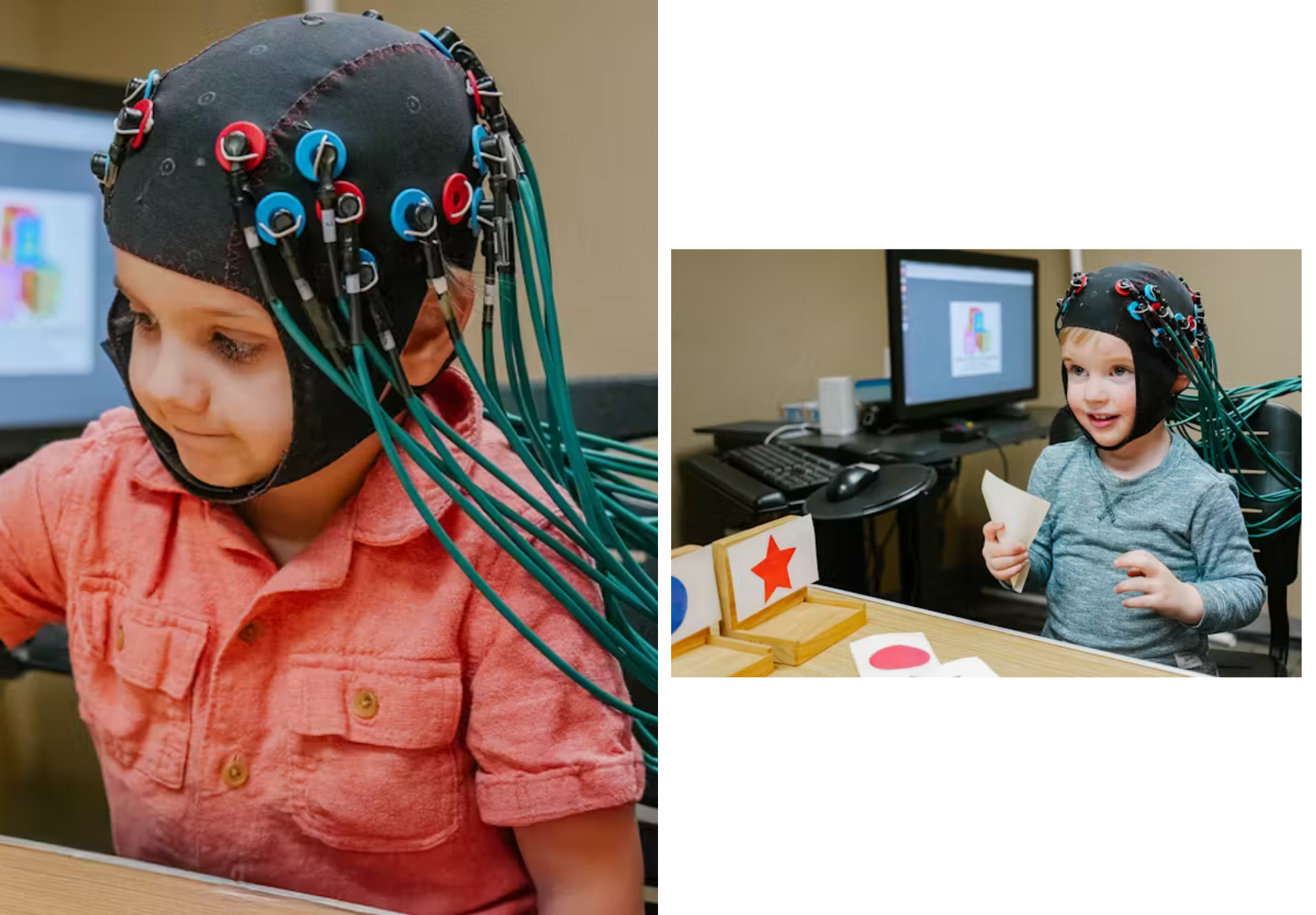 Naming and Categorizing: The Key to Unlocking Executive Function Skills ...